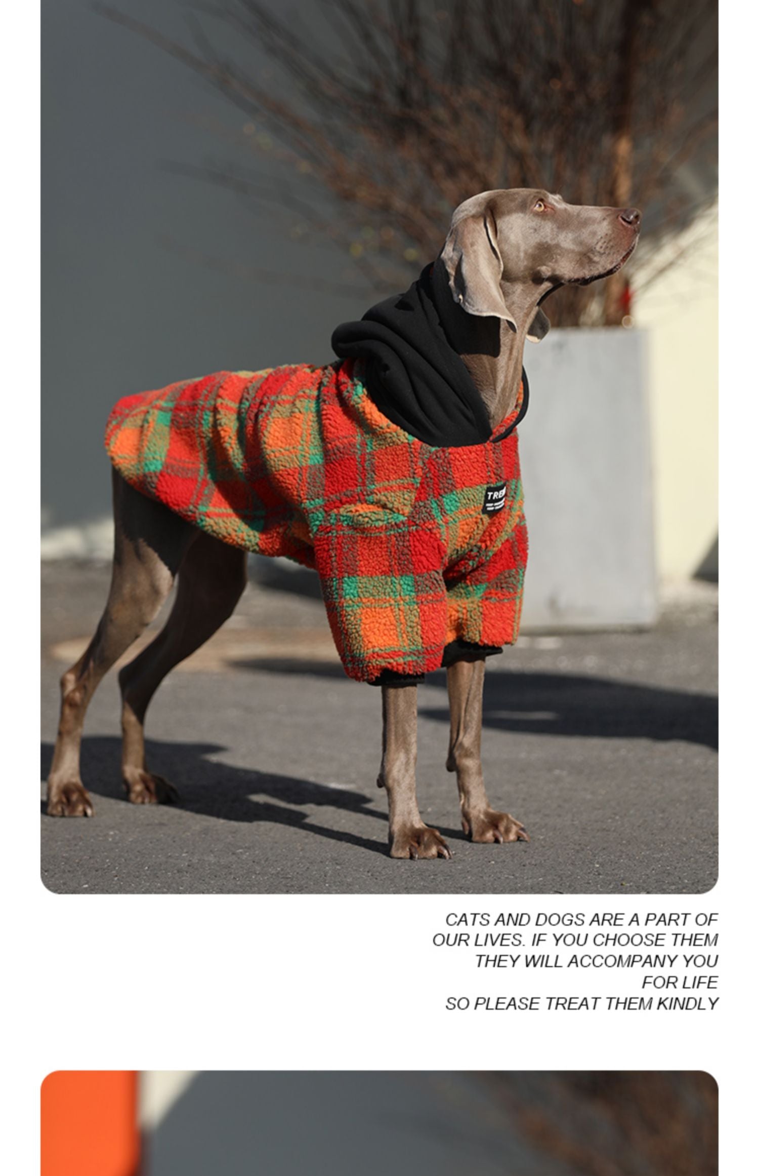 KFX-2157757 Thick and Warm Casual Clothing for Large Dogs in Orange Grid and Green Stripe