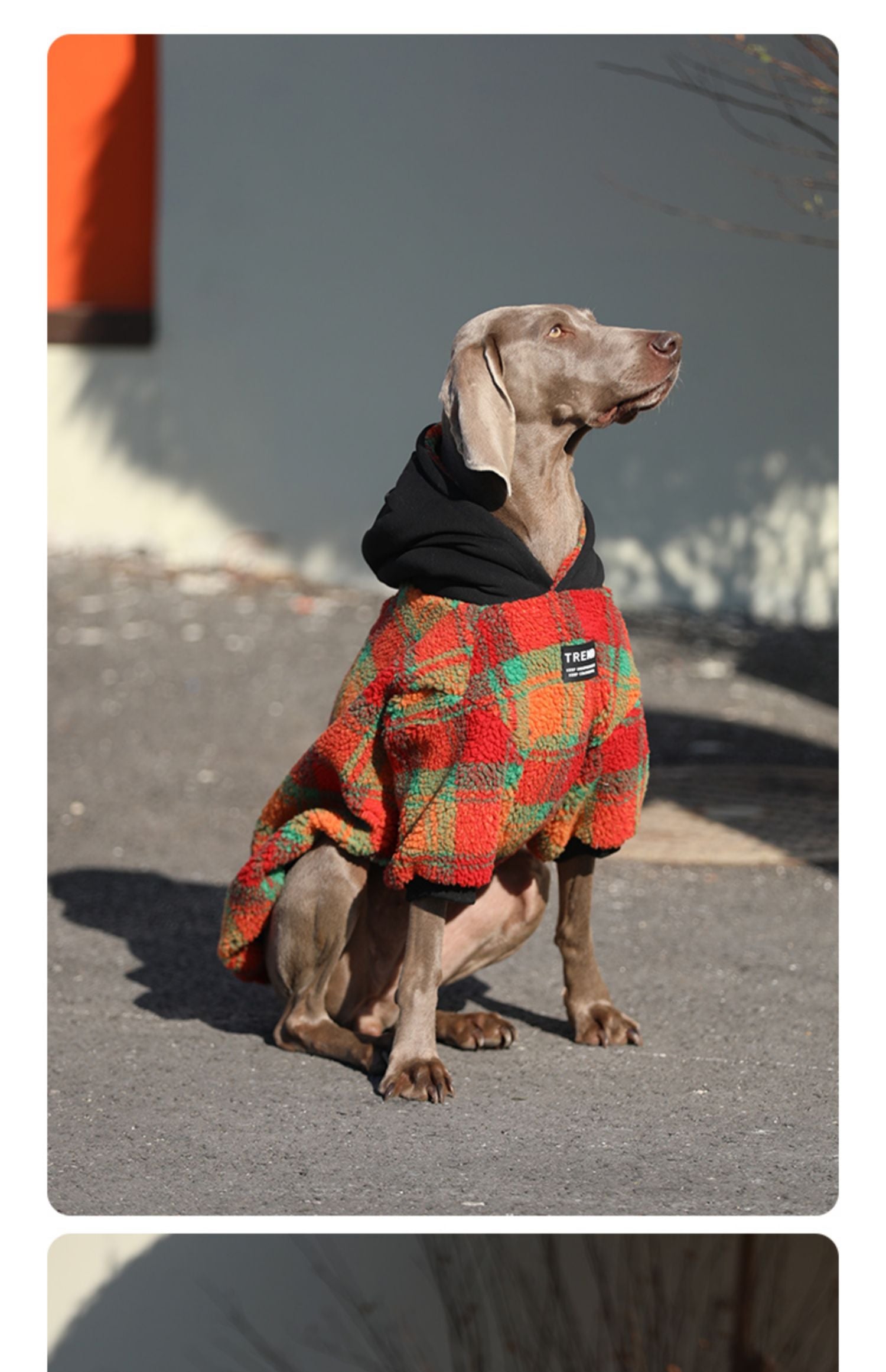 KFX-2157757 Thick and Warm Casual Clothing for Large Dogs in Orange Grid and Green Stripe