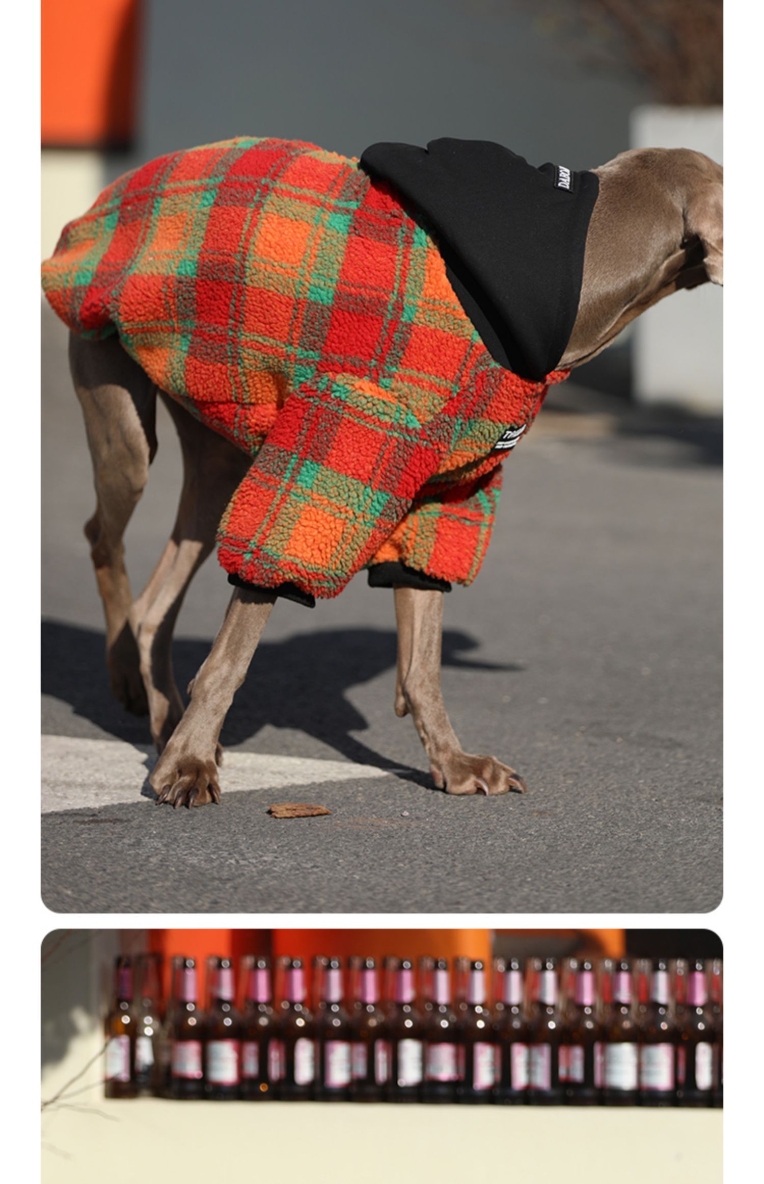 KFX-2157757 Thick and Warm Casual Clothing for Large Dogs in Orange Grid and Green Stripe