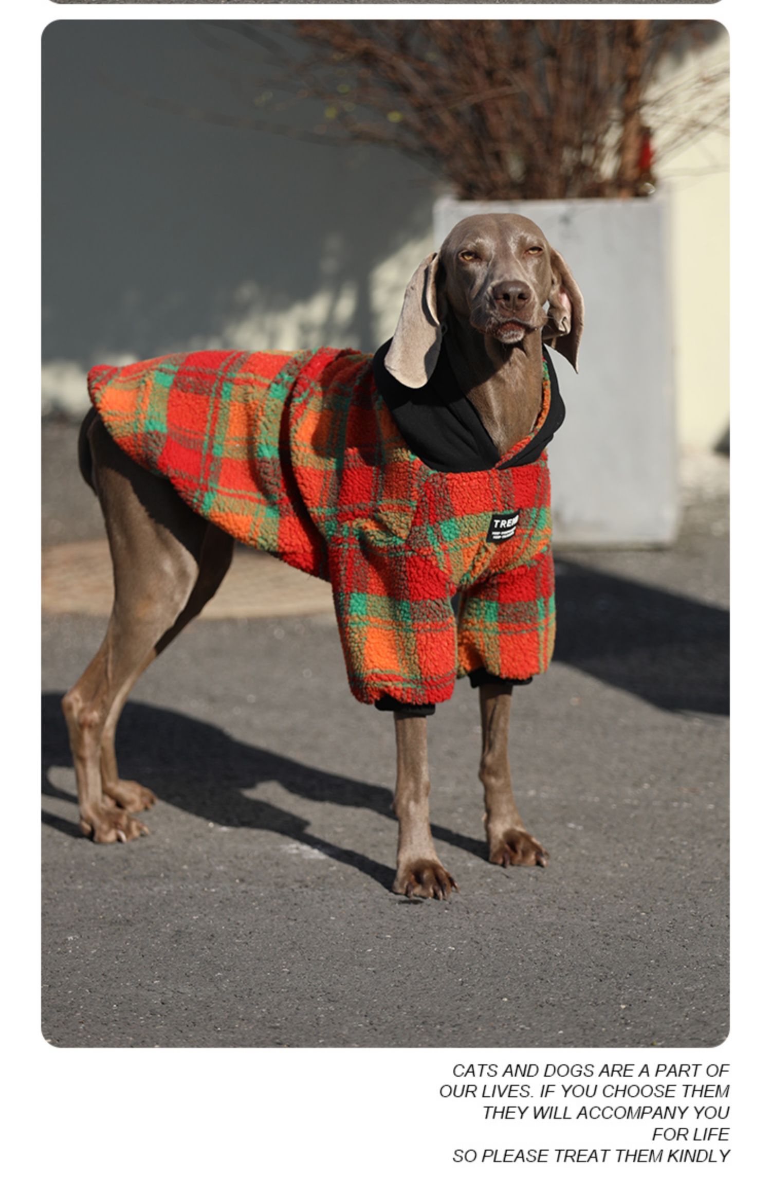 KFX-2157757 Thick and Warm Casual Clothing for Large Dogs in Orange Grid and Green Stripe