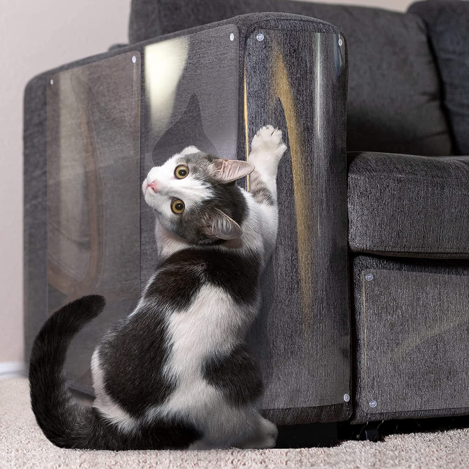 KFX-2158141 Transparent Single-Sided Anti-Scratching Tape for Cat Furniture Protection