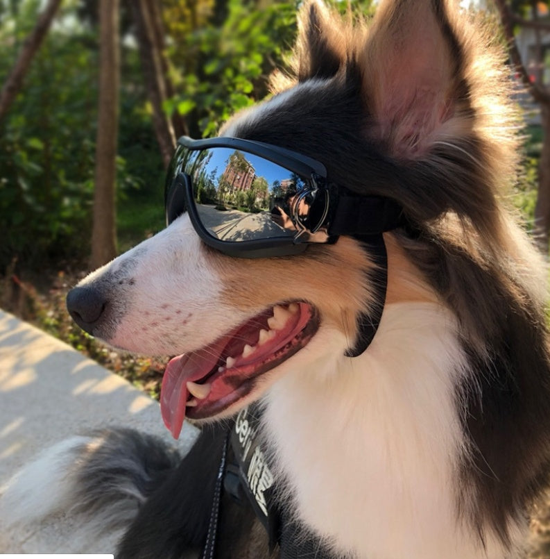 KFX-2159549 Waterproof UV Protecting Dog Goggles for Large Dogs - Black PVC Frame and PC Lens