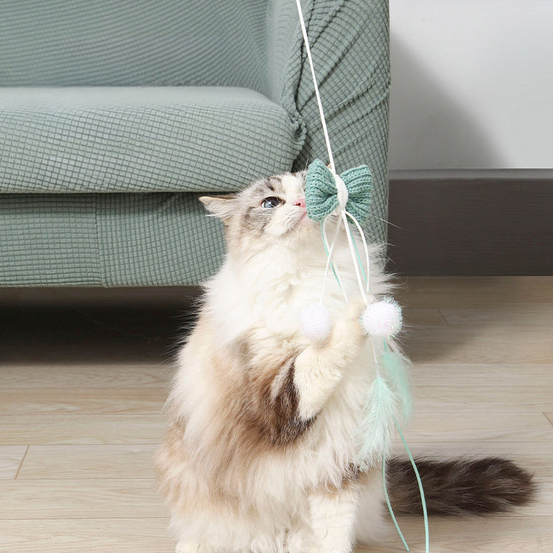 KFX-2165181 Cat Teaser Toy with Feathers and Long Bite-Resistant Pole for Engaging Playtime