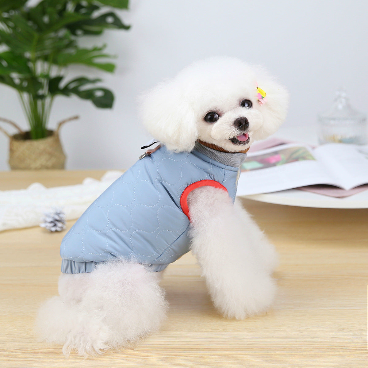 KFX-2166077 Puppy Velvet Vest for Autumn and Winter - Stylish Two-Legged Pet Clothing