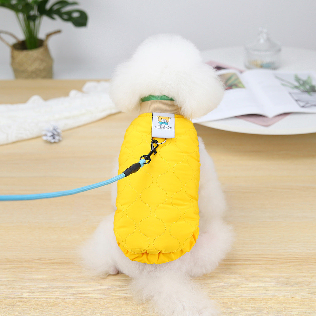KFX-2166077 Puppy Velvet Vest for Autumn and Winter - Stylish Two-Legged Pet Clothing