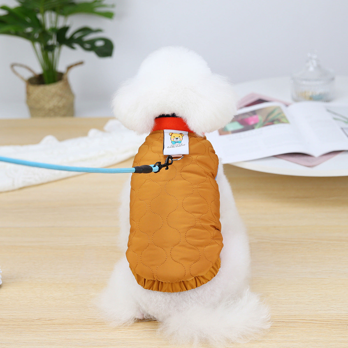 KFX-2166077 Puppy Velvet Vest for Autumn and Winter - Stylish Two-Legged Pet Clothing