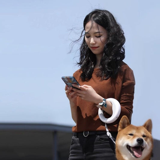 KFX-2167485 Automatic Retractable Dog Leash with Colorful LED Light and Durable Acrylic Design 3M Length
