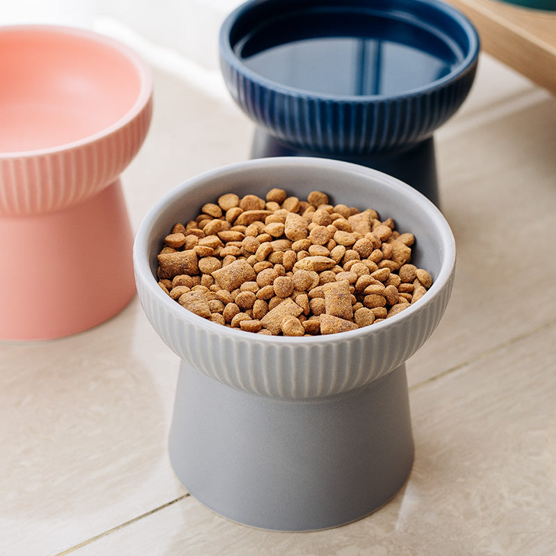 KFX-2169661 High Foot Ceramic Cat Bowl - 300ml Capacity for Food and Water