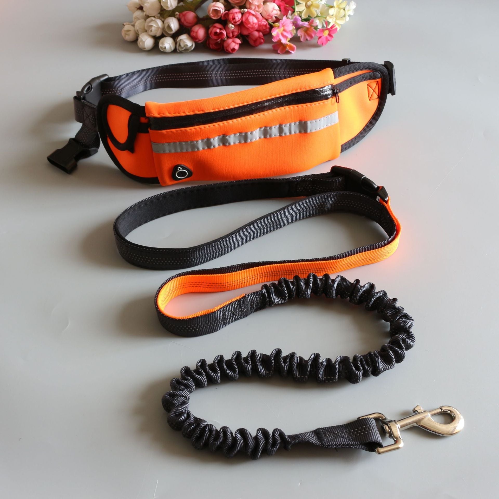 KFX-2173245 Adjustable Pet Traction Rope with Large Capacity Running Waist Bag Set