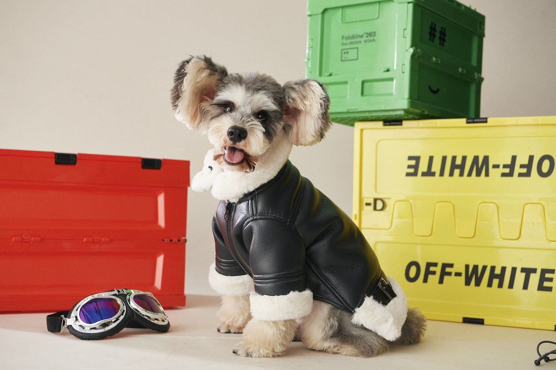 KFX-2177597 Cozy Black Fur Dog Coat for Autumn and Winter - Thick PU Cotton Fabric