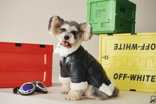 KFX-2177597 Cozy Black Fur Dog Coat for Autumn and Winter - Thick PU Cotton Fabric