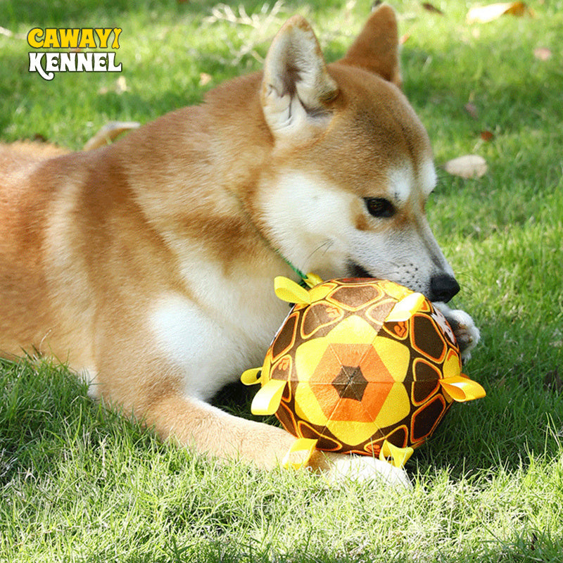 KFX-2182461 Durable Interactive Dog Toy with Plush Handle and Bells for Aggressive Chewers, 15cm
