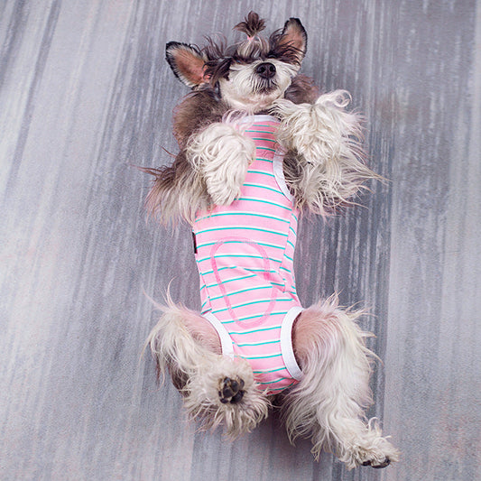 KFX-2183741 Lightweight Cotton Dog Vest for Spring/Summer - Casual Bellyband Design, Multiple Sizes Available