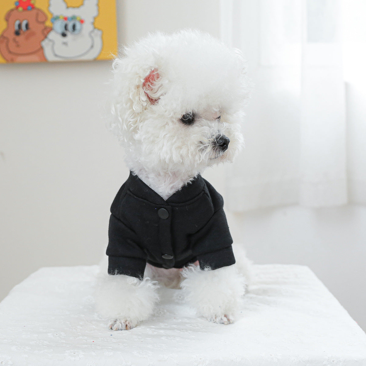 KFX-2190013 Kiss Sweater for Pets - Casual Autumn and Winter Clothing, Multiple Sizes Available