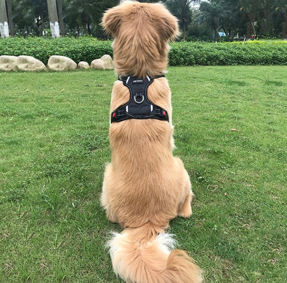 KFX-2199741 Dog Vest Rope for Medium and Large Dogs, Made of Durable Polyester Fiber