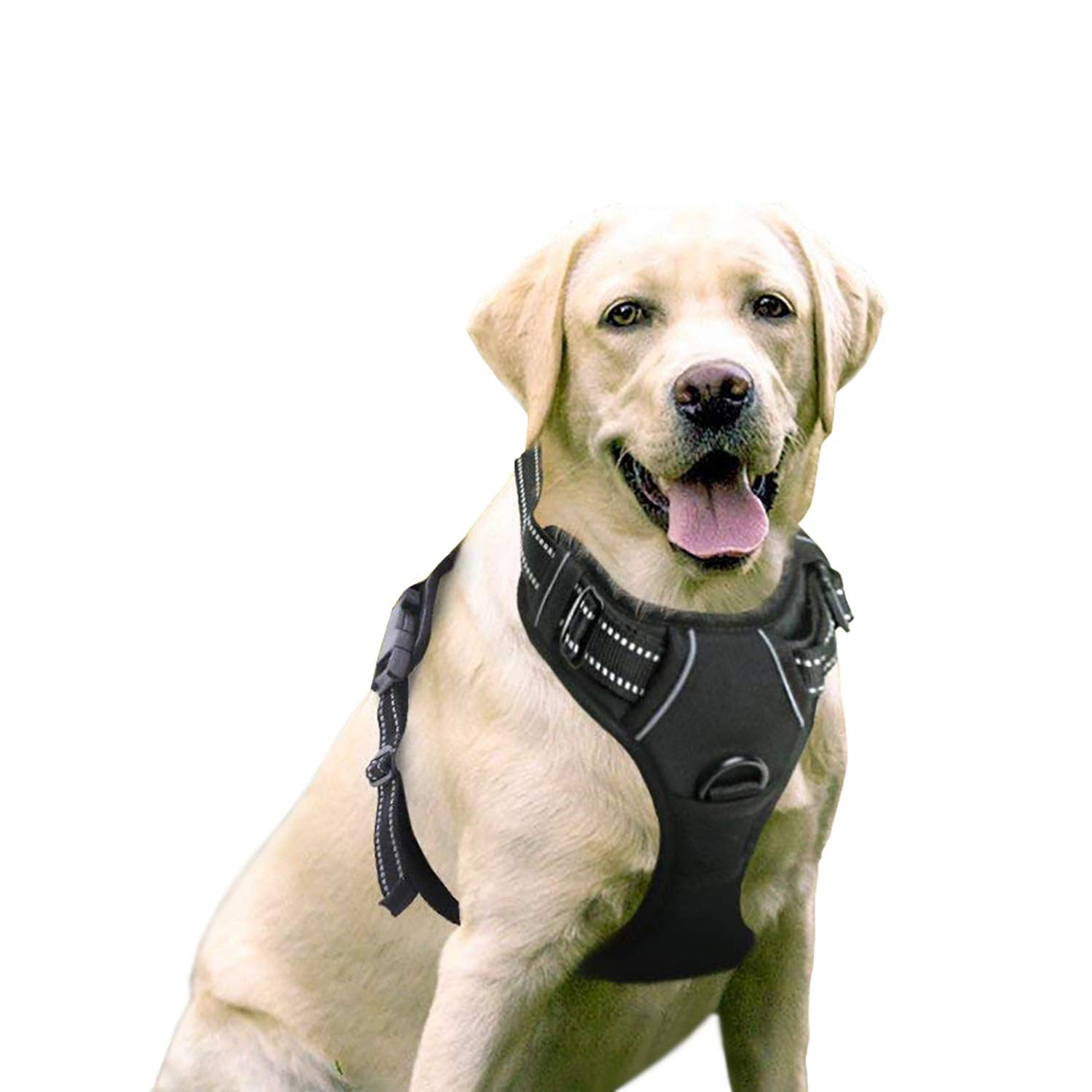 KFX-2199741 Dog Vest Rope for Medium and Large Dogs, Made of Durable Polyester Fiber
