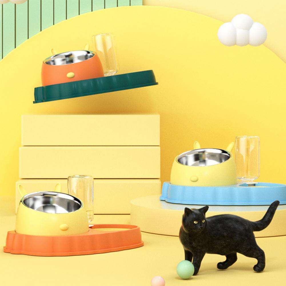 KFX-2202429 Double Bowl Stainless Steel Pet Feeding Dish with Non-Slip Base and Tilted Carrot Design