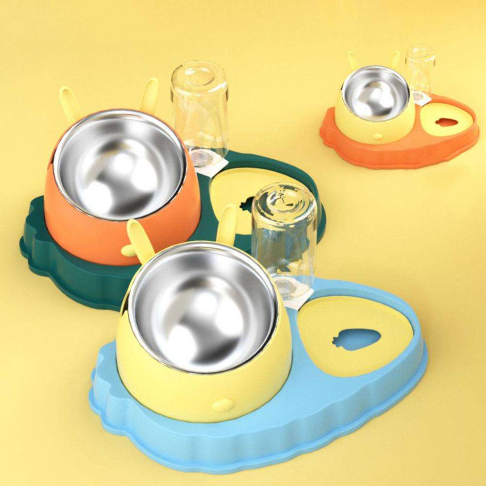 KFX-2202429 Double Bowl Stainless Steel Pet Feeding Dish with Non-Slip Base and Tilted Carrot Design