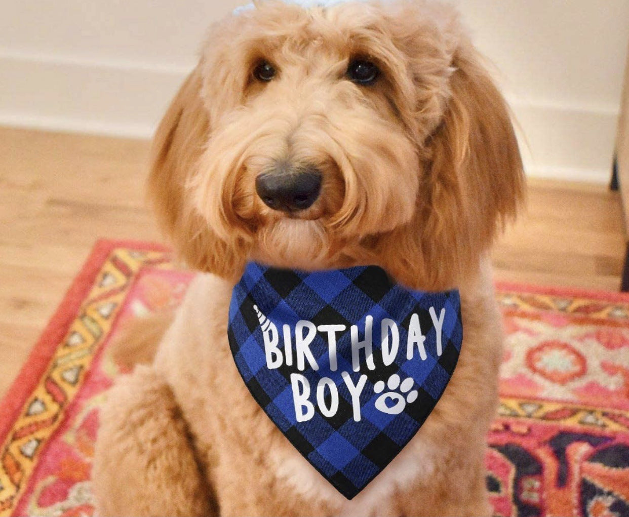 KFX-2203837 Dog Birthday Plaid Triangle Scarf and Saliva Towel, Cotton, Customizable Size