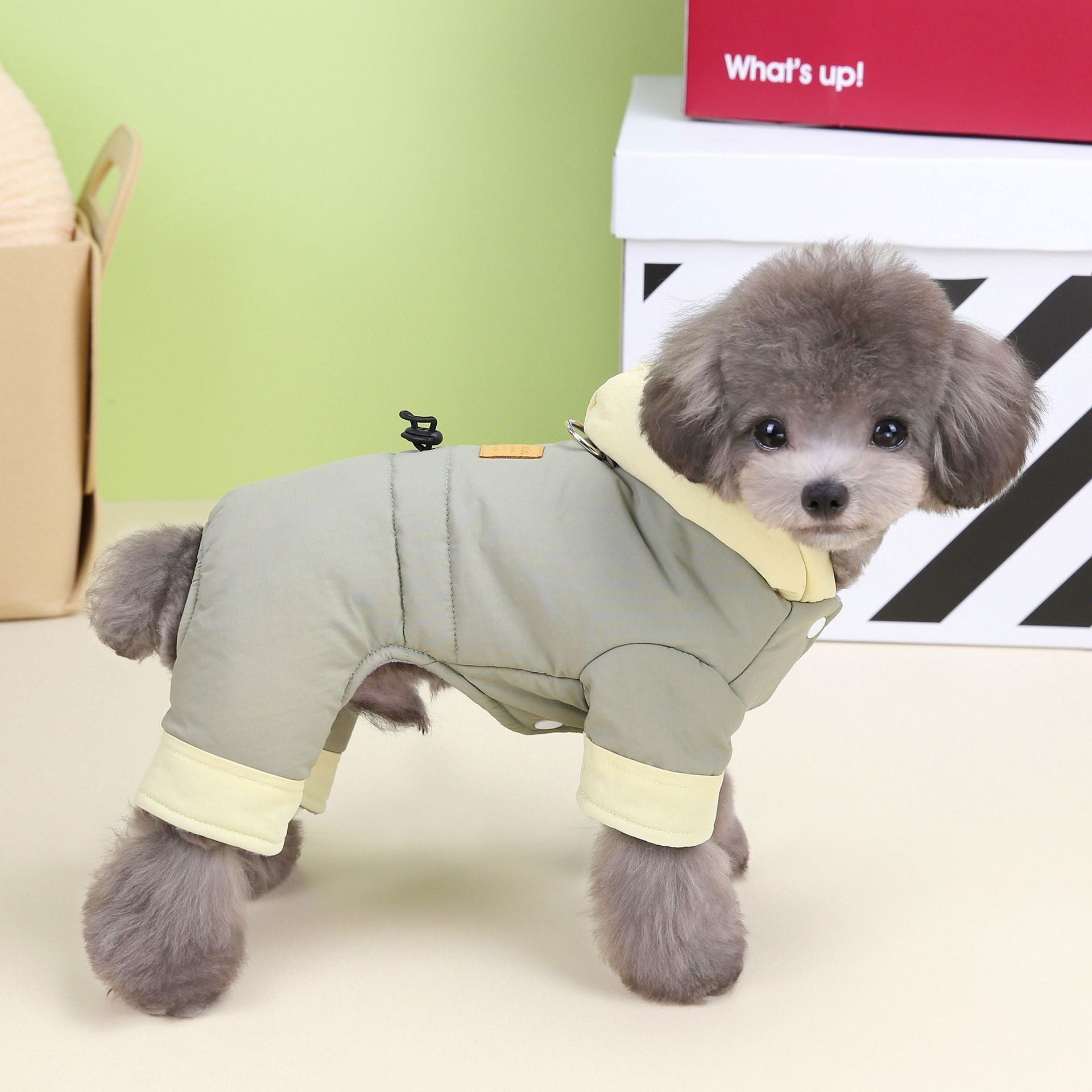 KFX-2206781 Cotton-Padded Dog Clothing for Autumn and Winter in Dark Navy Blue and Smoky Green