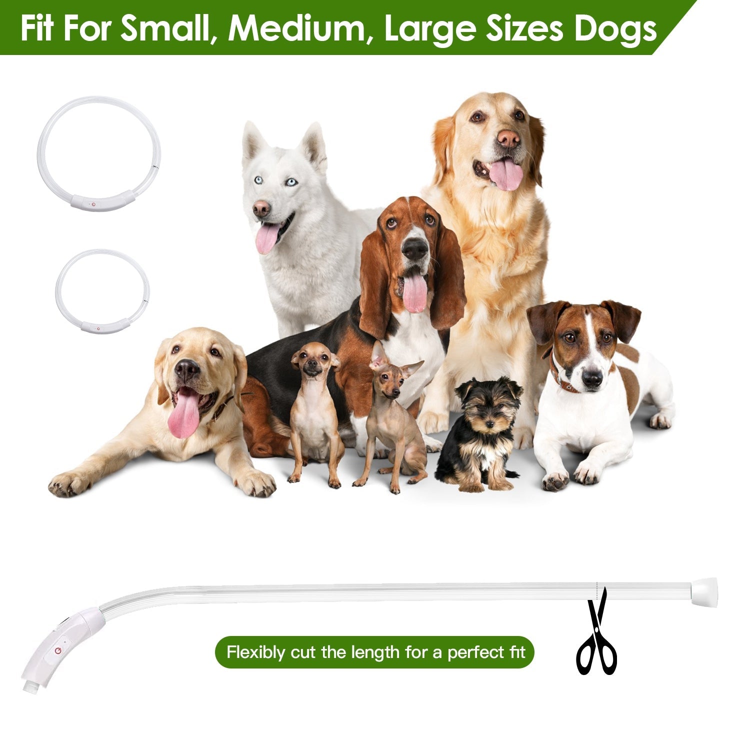 KFX-2208189 LED Rechargeable Multi-Color Dog Safety Collar with Adjustable Length for Night Walking