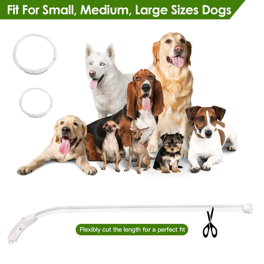 KFX-2208189 LED Rechargeable Multi-Color Dog Safety Collar with Adjustable Length for Night Walking