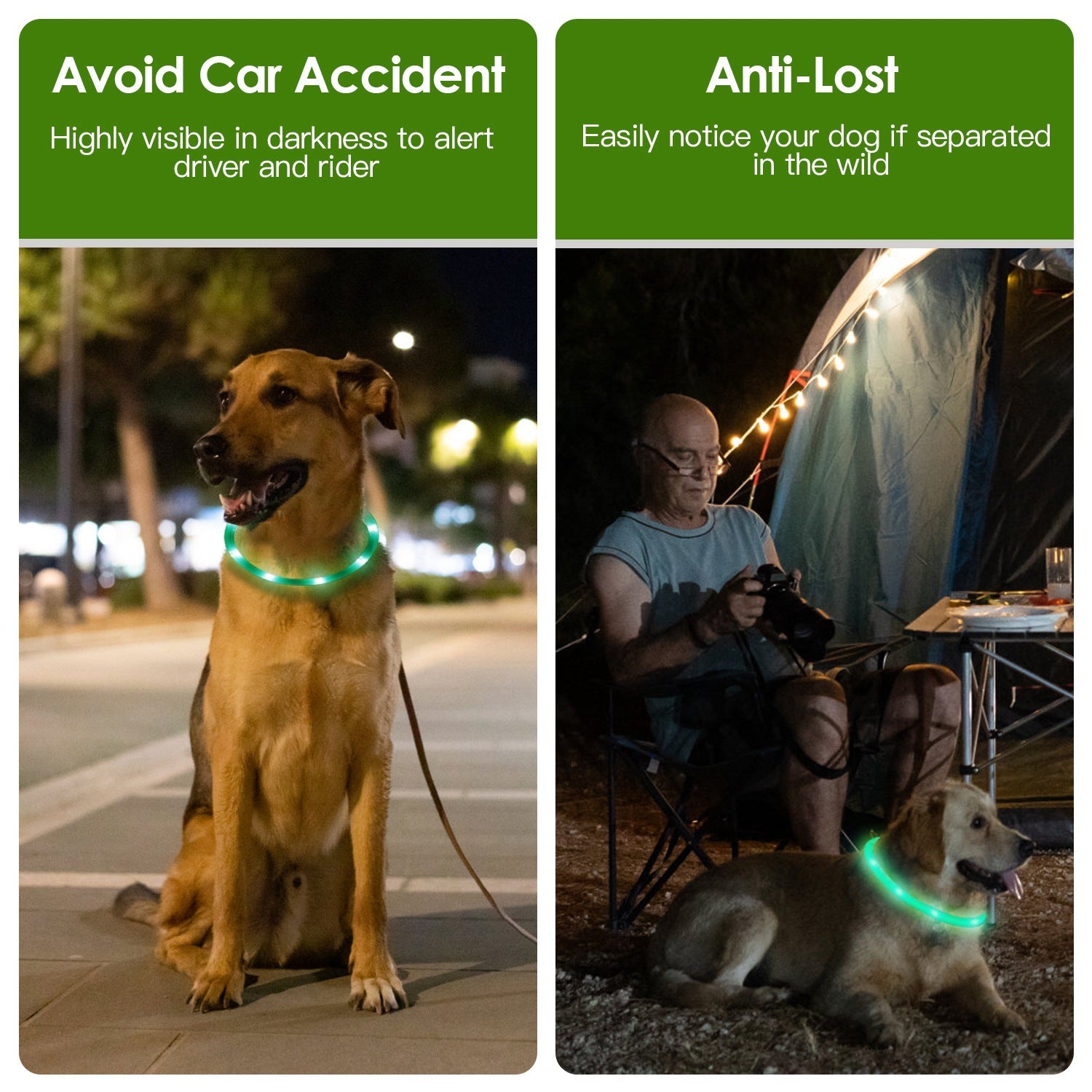 KFX-2208189 LED Rechargeable Multi-Color Dog Safety Collar with Adjustable Length for Night Walking