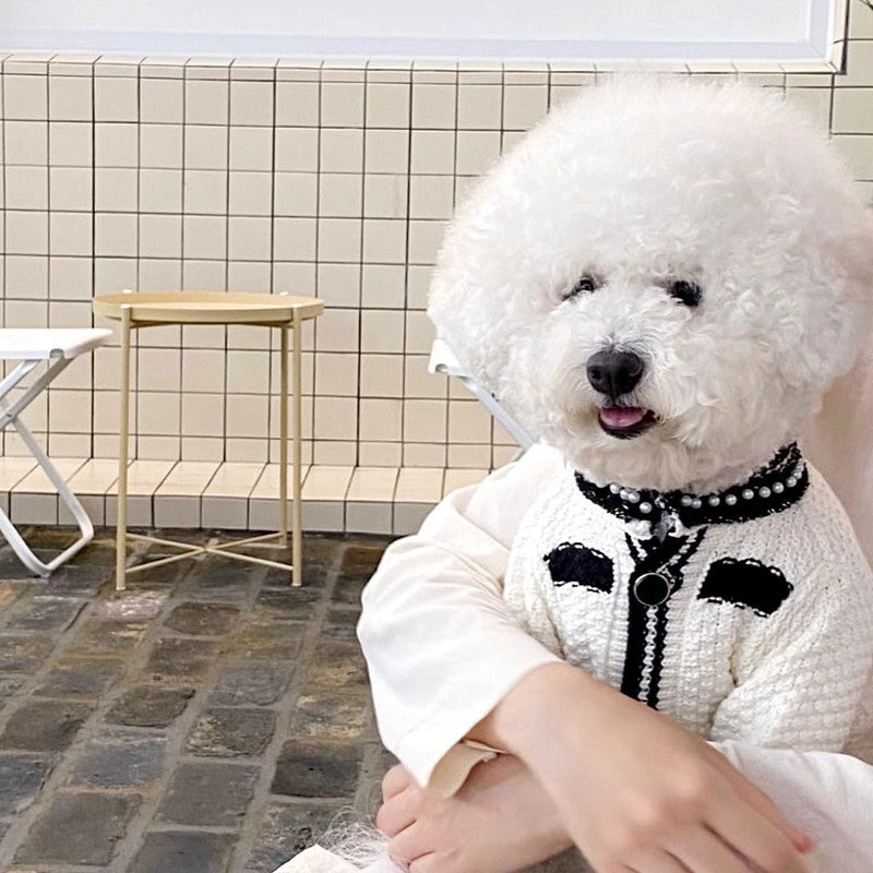 KFX-2209981 Korean Style Puppy Sweater with Pearl Collar in Classic Black and White