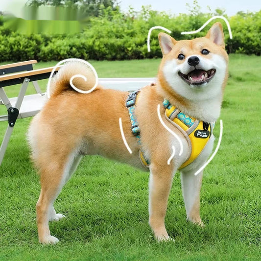 KFX-2213437 Lightweight Shock-Absorbing Pet Harness Vest for Small to Medium Dogs