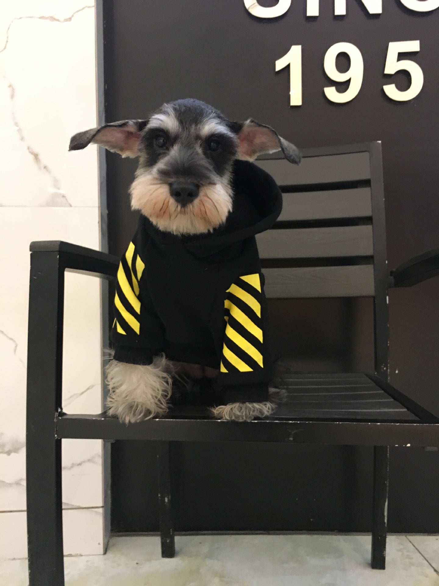KFX-2222781 Cozy Fleece Puppy Sweater in Black and White with Drawstring Options