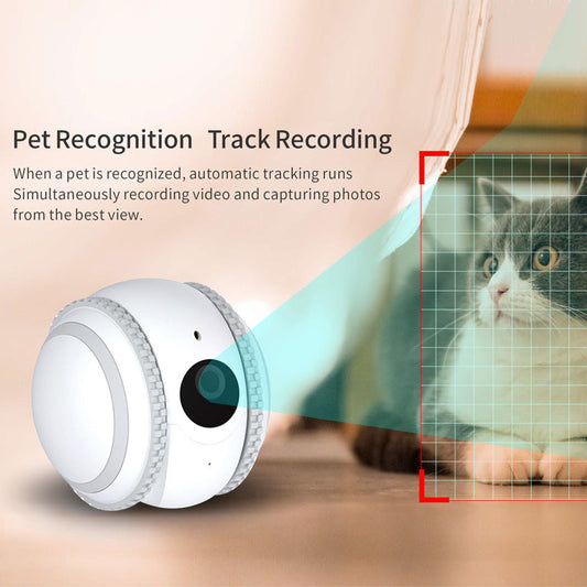 KFX-2224317 White Cat Toy Robot with Automatic Recharge Feature for Pet Monitoring