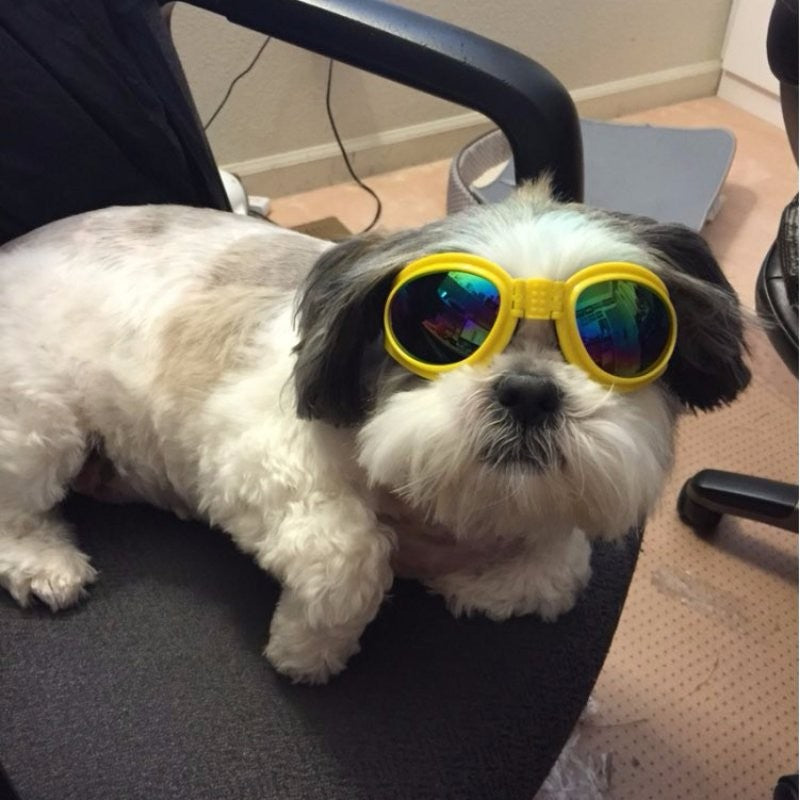 KFX-2225085 Foldable Medium Dog Sunglasses with UV Protection and Anti-Fog Design, Waterproof Goggles for Pets