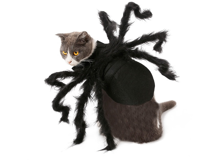 KFX-2227645 Pet Spider Costume for Dogs and Cats - Feather Dress-Up Accessory for Halloween and Parties