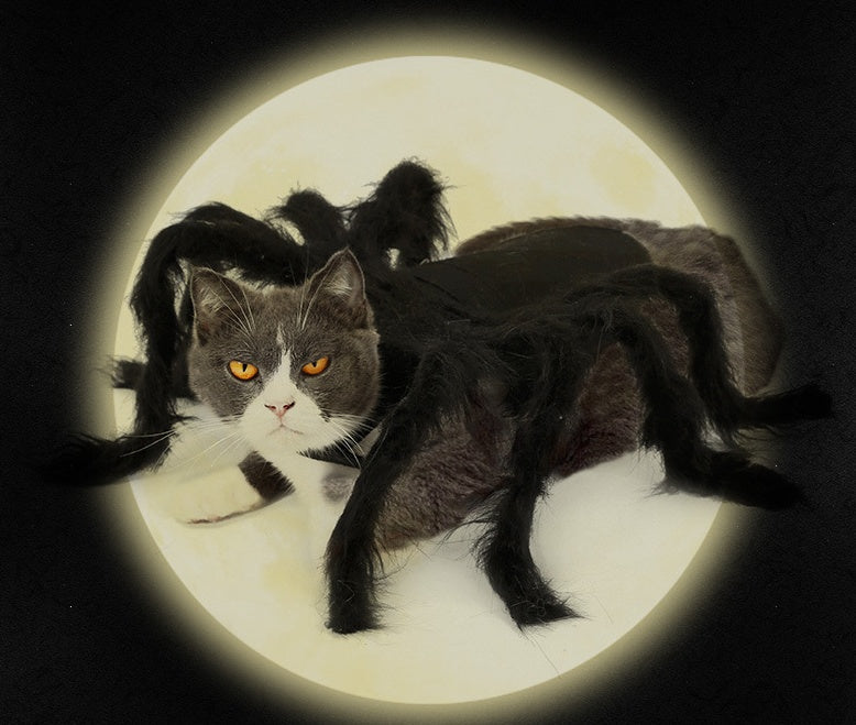 KFX-2227645 Pet Spider Costume for Dogs and Cats - Feather Dress-Up Accessory for Halloween and Parties