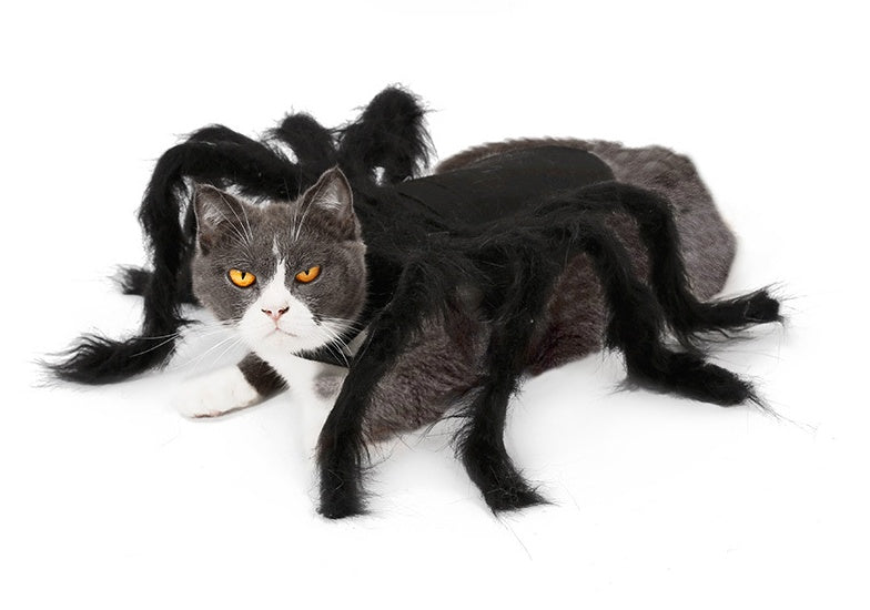 KFX-2227645 Pet Spider Costume for Dogs and Cats - Feather Dress-Up Accessory for Halloween and Parties