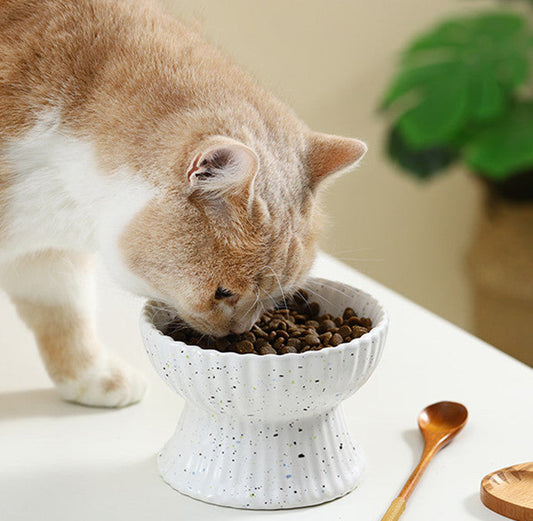 KFX-2229437 Elevated Cat Ceramic Slow Food Bowl with Neck Guard - Various Styles Available