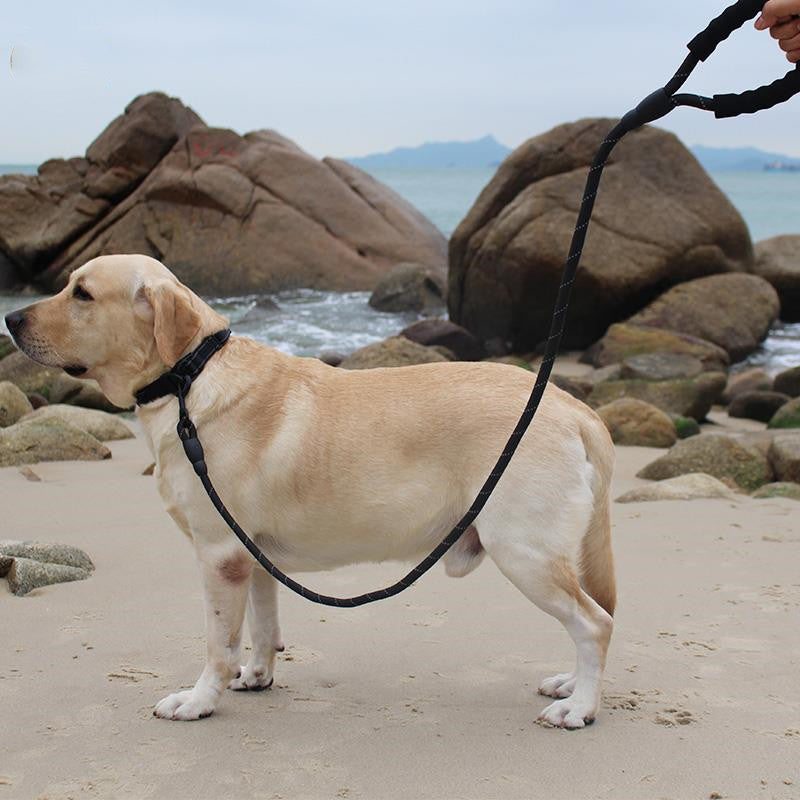 KFX-2233021 Retractable Explosion-Proof Pet Leash for Small and Large Dogs, 1.6m Length, Available in Red, Blue, Black