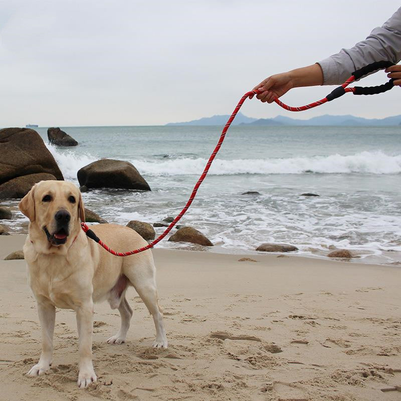 KFX-2233021 Retractable Explosion-Proof Pet Leash for Small and Large Dogs, 1.6m Length, Available in Red, Blue, Black