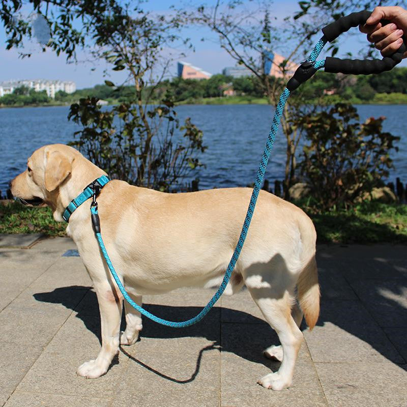 KFX-2233021 Retractable Explosion-Proof Pet Leash for Small and Large Dogs, 1.6m Length, Available in Red, Blue, Black