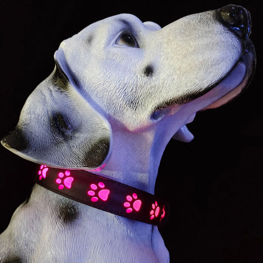 KFX-2236989 7-Color LED Luminous Collar for Pets - USB Rechargeable Polyester Design