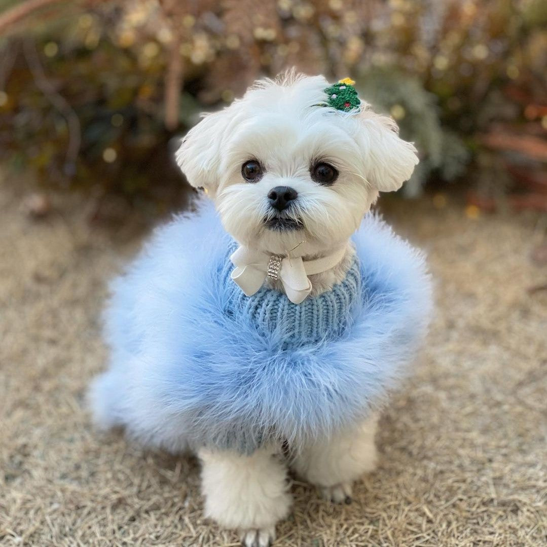 KFX-2242749 Luxury Dog Sweater for Autumn and Winter with Turkey Feather Design