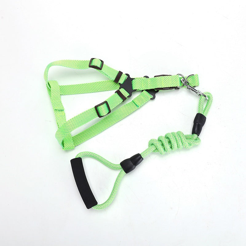 KFX-2244541 Adjustable Nylon Traction Belt for Small, Medium, and Large Dogs – Available in Multiple Colors