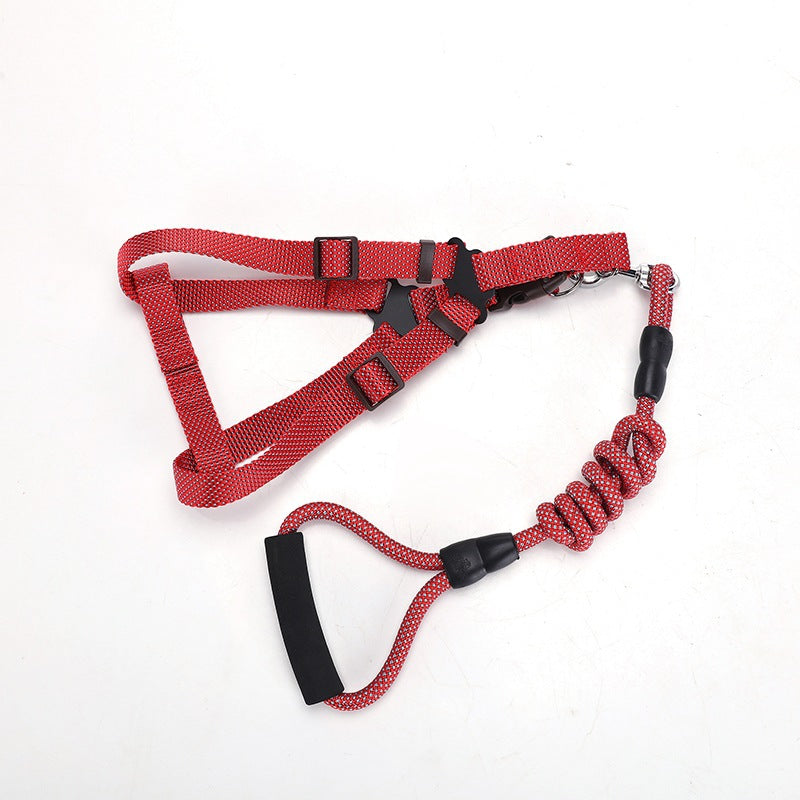 KFX-2244541 Adjustable Nylon Traction Belt for Small, Medium, and Large Dogs – Available in Multiple Colors