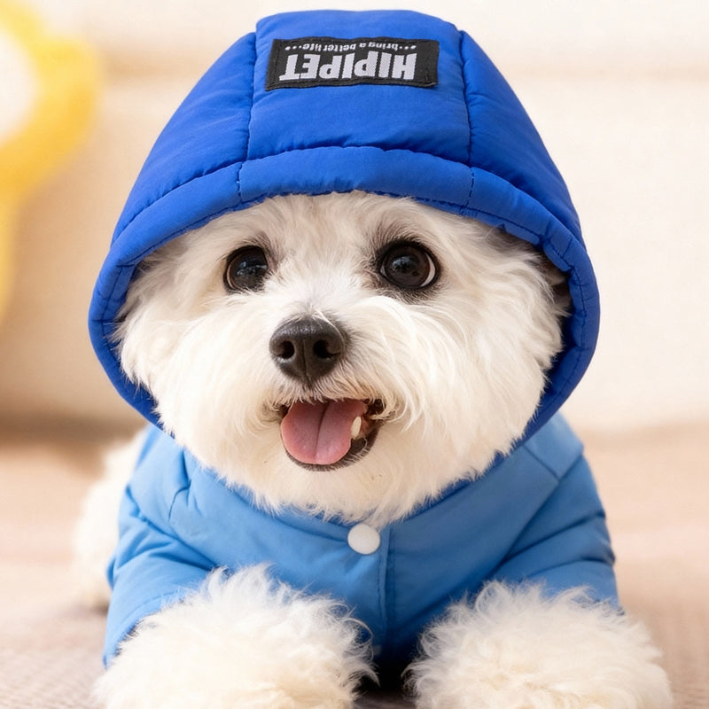 KFX-2249277 Winter Padded Snowsuit for Small and Medium Dogs with Hood and Pocket
