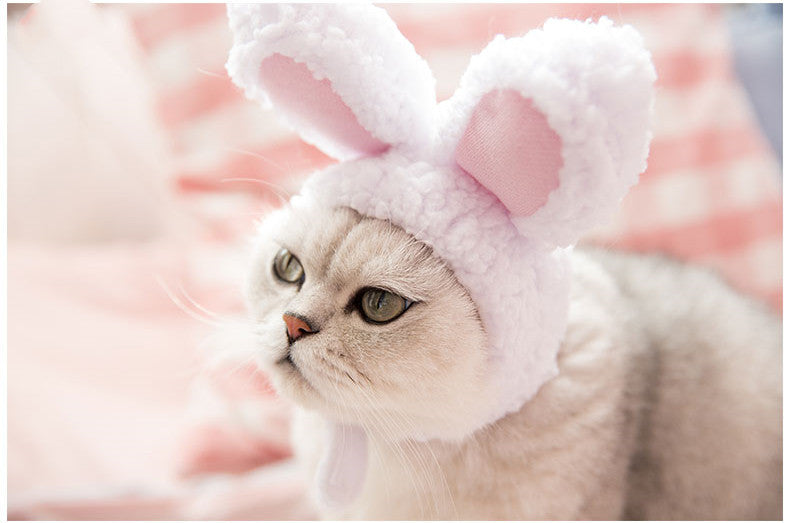 KFX-2255293 Warm Rabbit Ears Pet Hat for Dogs and Cats - Adjustable Cosplay Costume for Winter Parties