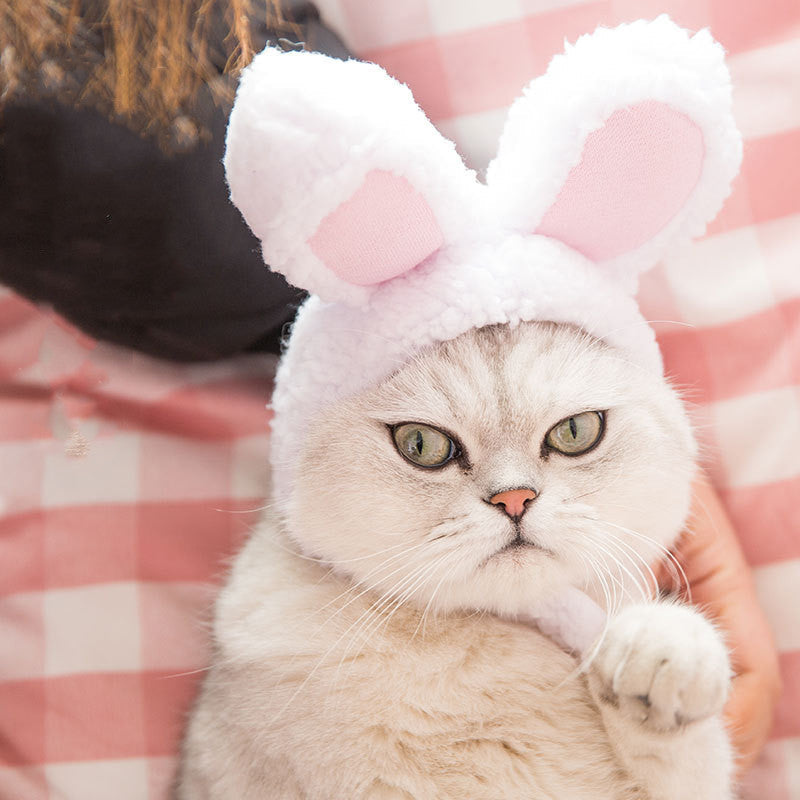 KFX-2255293 Warm Rabbit Ears Pet Hat for Dogs and Cats - Adjustable Cosplay Costume for Winter Parties