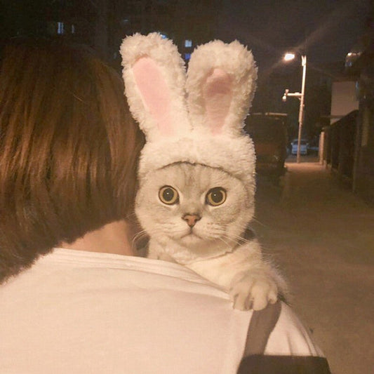 KFX-2255293 Warm Rabbit Ears Pet Hat for Dogs and Cats - Adjustable Cosplay Costume for Winter Parties
