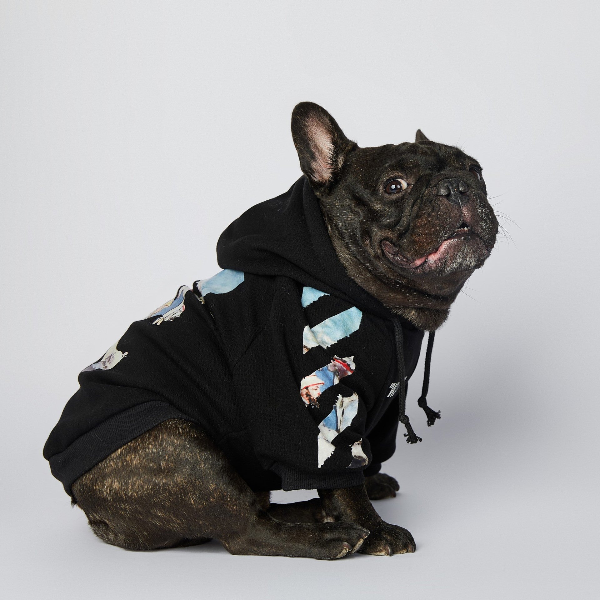KFX-2255549 Schnauzer Pet Clothes in Oil Painting Design – Available Sizes M to 4XL