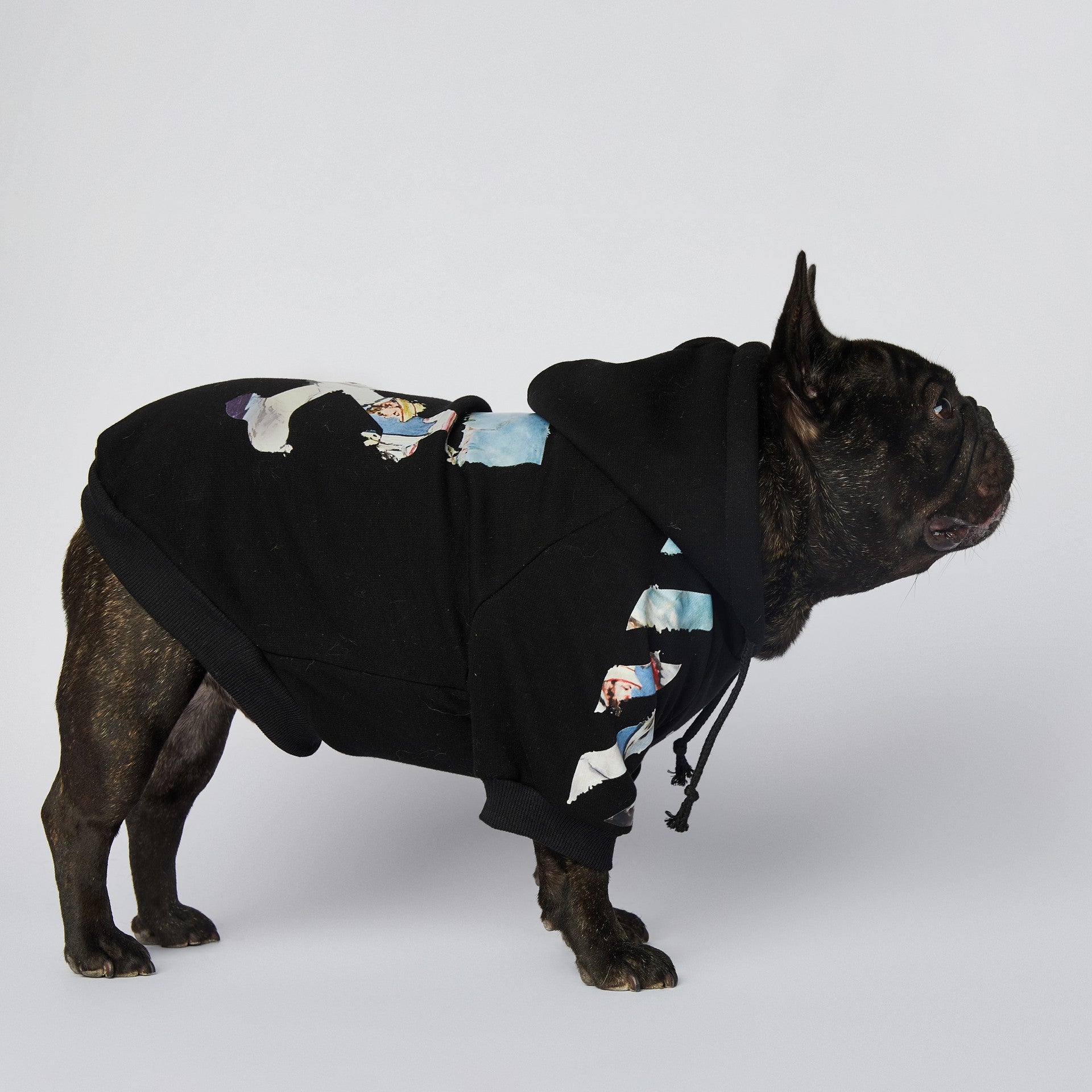 KFX-2255549 Schnauzer Pet Clothes in Oil Painting Design – Available Sizes M to 4XL