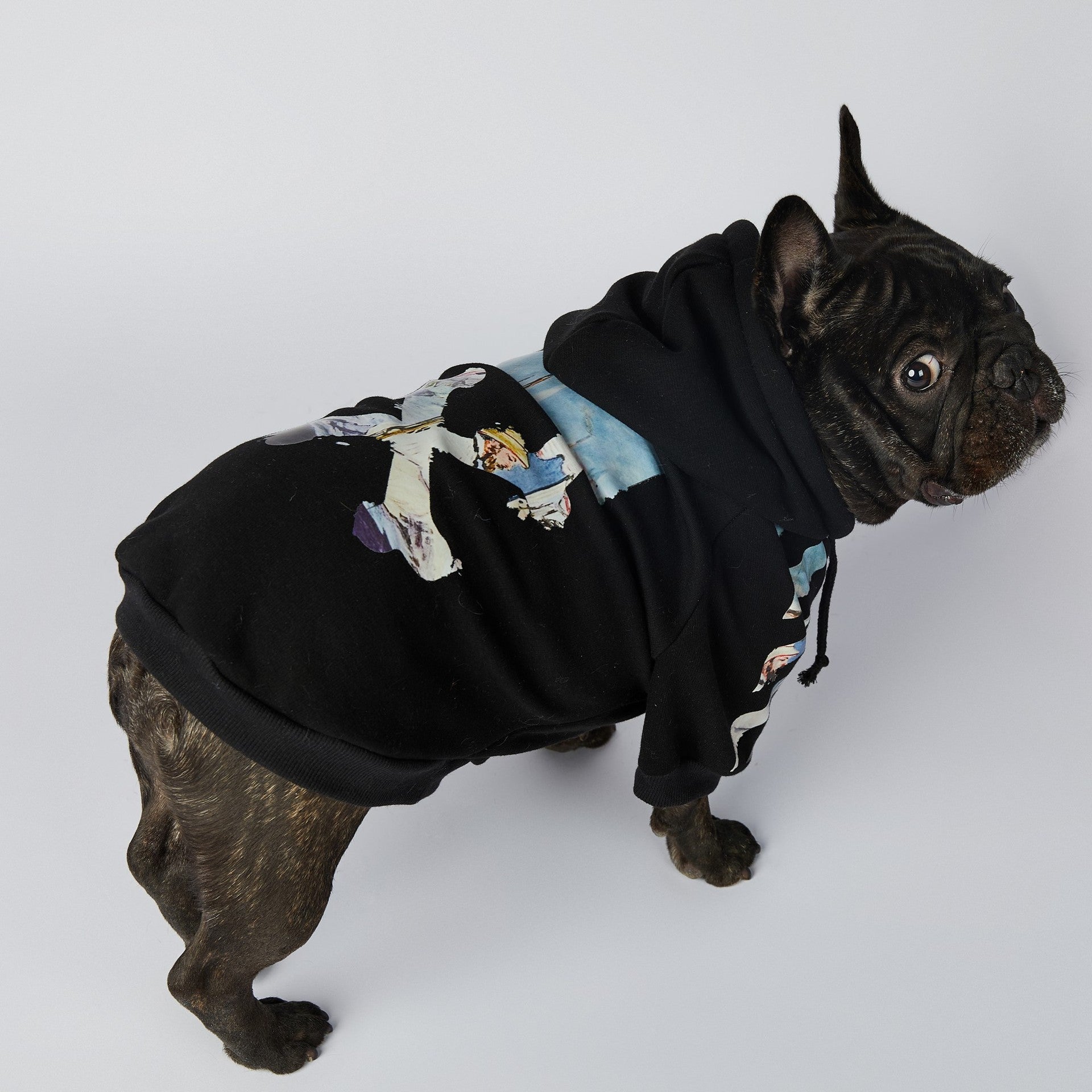 KFX-2255549 Schnauzer Pet Clothes in Oil Painting Design – Available Sizes M to 4XL